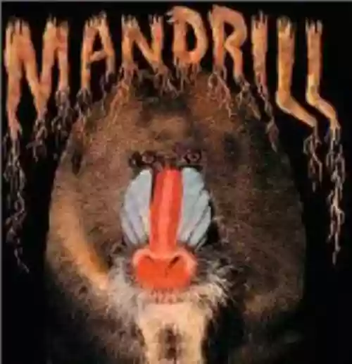 Cover Mandrill - Mandrill