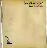 Babyshambles: Down In Albion