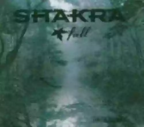 Cover di Fall