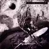 David Sylvian: Secrets Of The Beehive