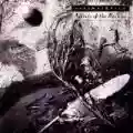 <b>David Sylvian</b> • Secrets of the Beehive