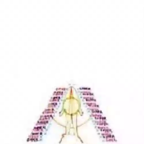 Cover Boredoms - Super æ