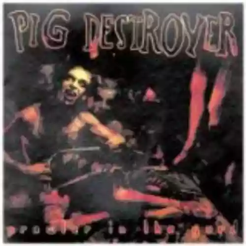 Cover di Prowler in the Yard