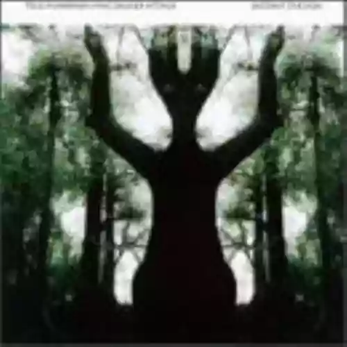 Cover Tele:Funken - Distant Station