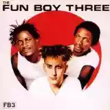 Fun Boy Three: The Fun Boy Three