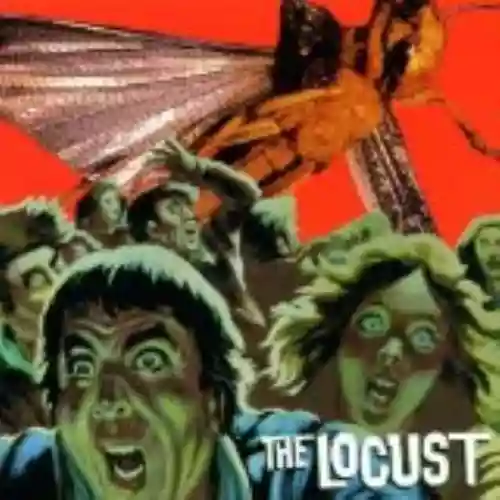 Cover di The Locust
