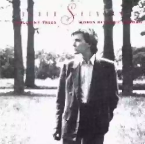 Cover David Sylvian - Brilliant Trees / Words With the Shaman