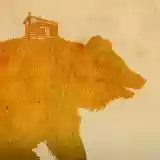 This Will Destroy You: Young Mountain
