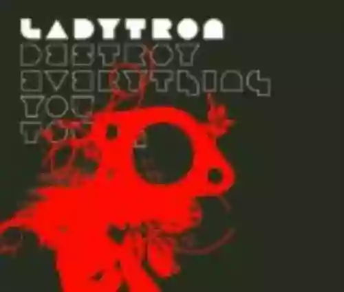Cover di Destroy Everything You Touch
