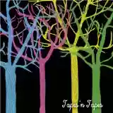 Tapes 'N Tapes: The Loon