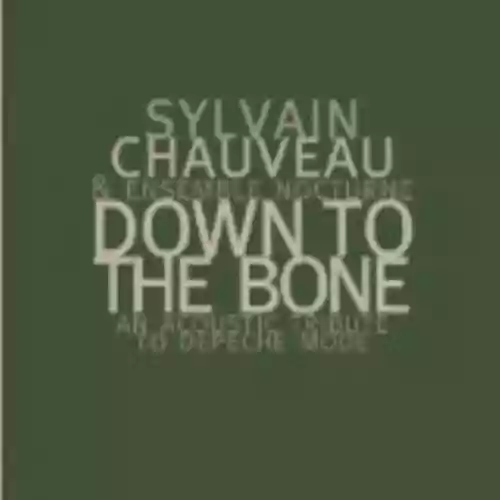 Cover Sylvain Chauveau & Ensemble Nocturne - Down to the Bone: An Acoustic Tribute to Depeche Mode