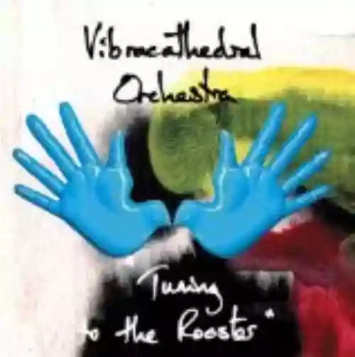 Cover di Tuning to the Rooster