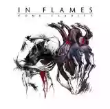 In Flames: Come clarity