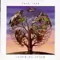 <b>Talk Talk</b> • Laughing Stock