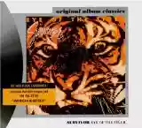 Survivor: Eye Of The Tiger