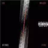 The Strokes: First Impressions Of Earth