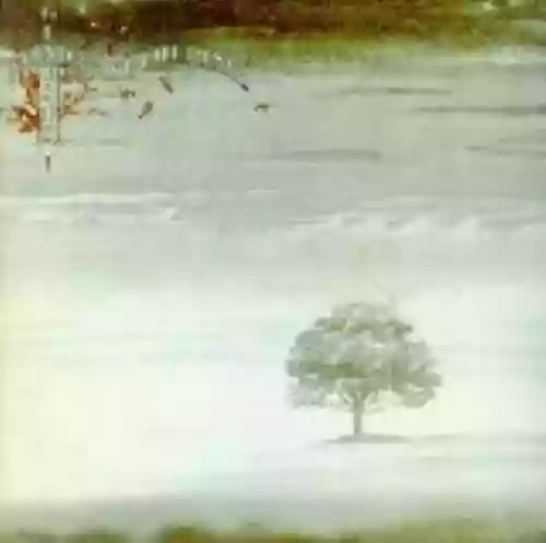 Cover di Wind & Wuthering