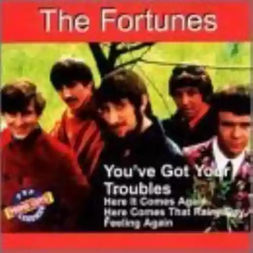 Cover The Fortunes - You've Got Your Troubles