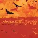 Poison The Well: Tear From The Red