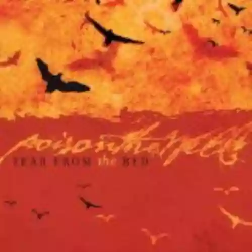 Cover di Tear From the Red