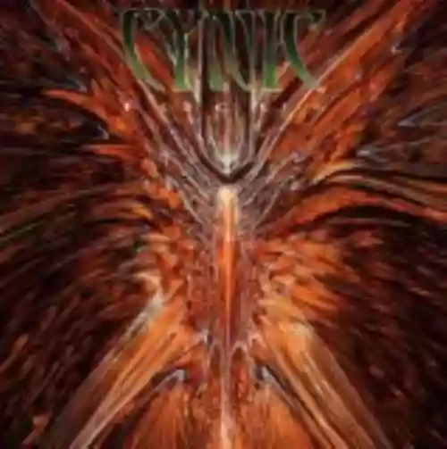 Cover Cynic - Focus