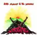 <b>Bob Marley & The Wailers</b> • Uprising