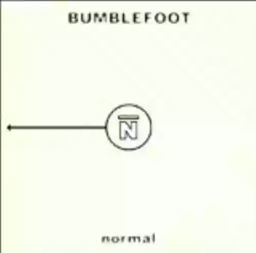 Cover di Normal
