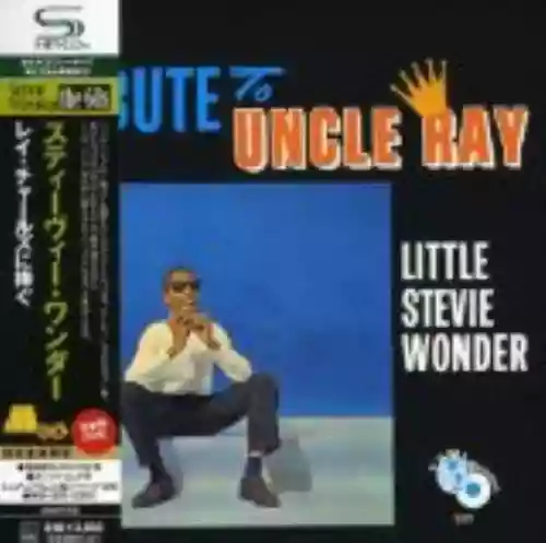 Cover Stevie Wonder - Tribute to Uncle Ray