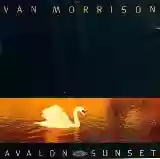 Van Morrison: Avalon Sunset