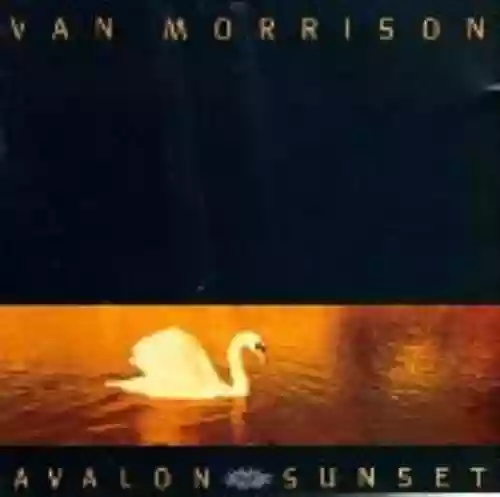Cover di Avalon Sunset
