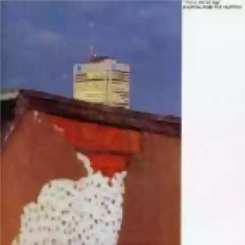 Cover di This Is the Ice Age