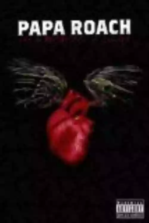 Cover di Live and Murderous in Chicago