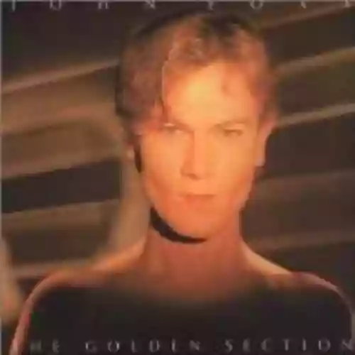 Cover John Foxx - The Golden Section