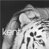 Kent: Vapen & Ammunition