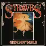 The Strawbs: Grave new world