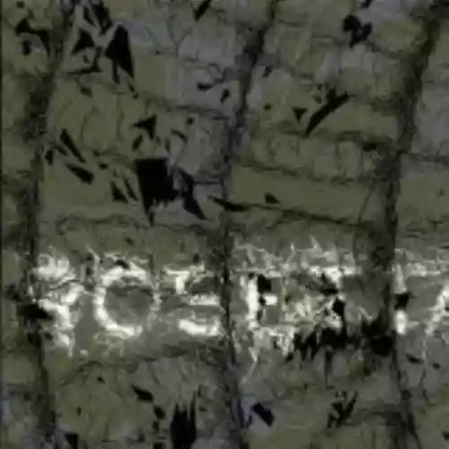 Cover di The Galilean Satellites (Combined)