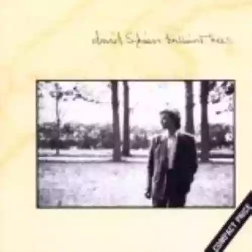 Cover di Brilliant Trees