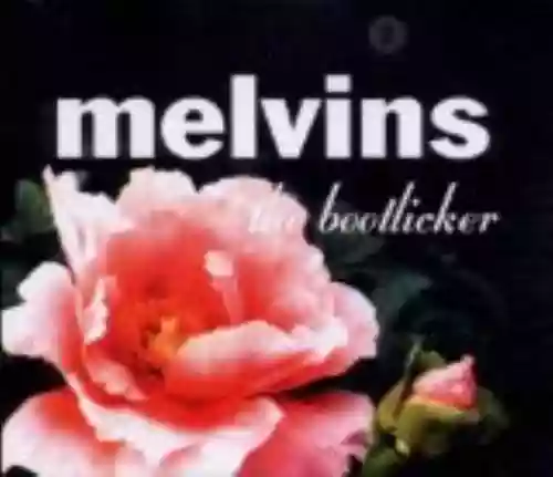 Cover di The Bootlicker