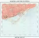 Martha And The Muffins: Metro Music