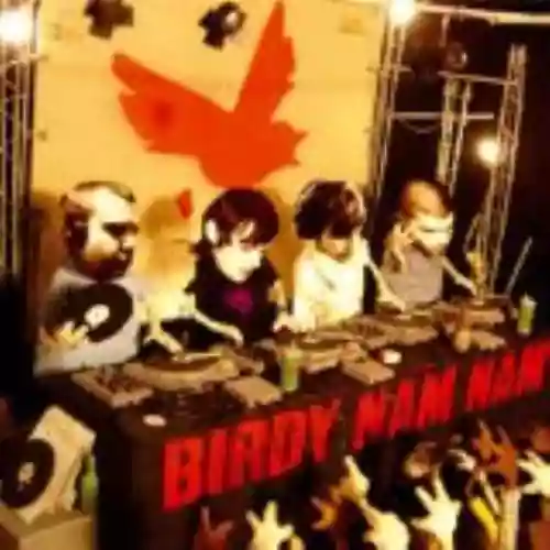 Cover di Birdy Nam Nam