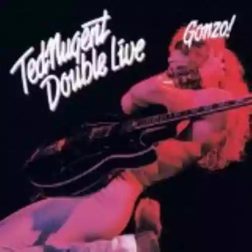 Cover di Double Live Gonzo