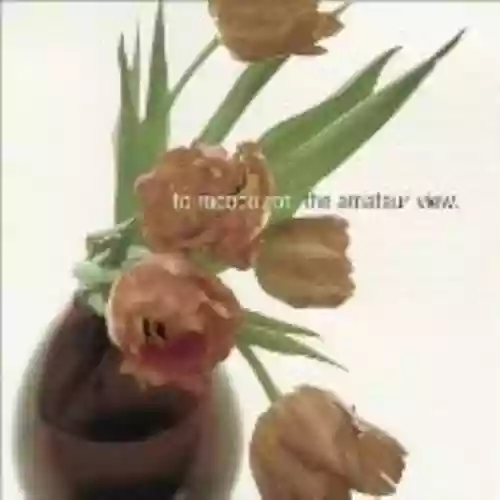 Cover To Rococo Rot - The Amateur View