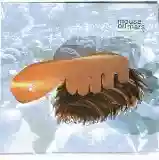 Mouse on Mars: Niun Niggung