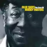 Muddy Waters: Blue Skies - The Best Of