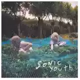 Sonic Youth: Murray Street