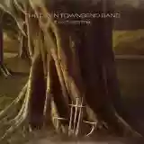 Cover di Synchestra