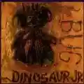 <b>Dinosaur Jr.</b> • Bug