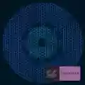 <b>The Knife</b> • Silent Shout