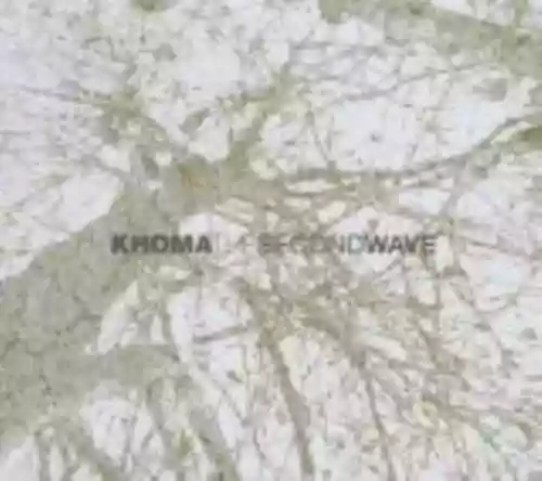 Cover di The Second Wave