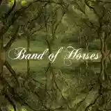 Band of Horses: Everything All the Time